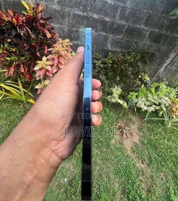 Apple iPhone 12 Pro Max (Used)