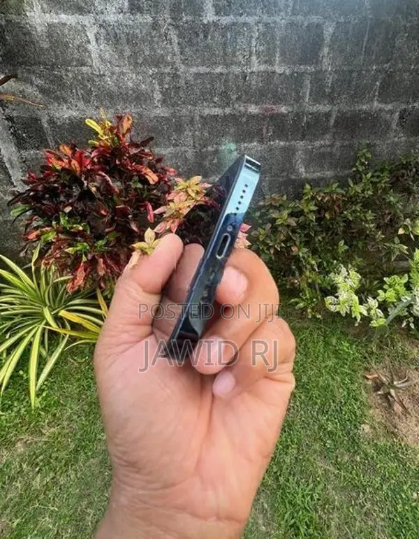 Apple iPhone 12 Pro Max (Used)