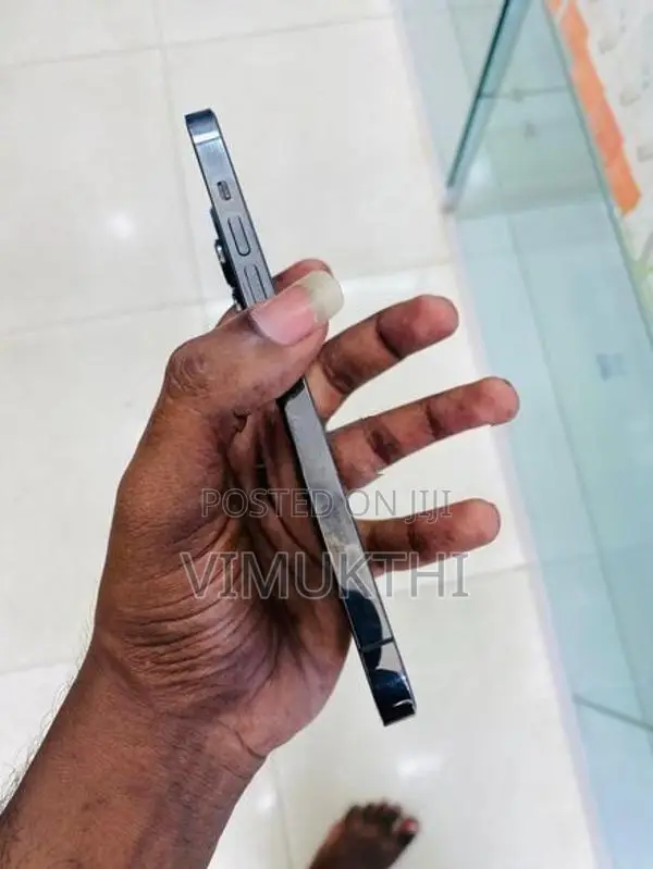 Apple iPhone 13 Pro Max (Used)