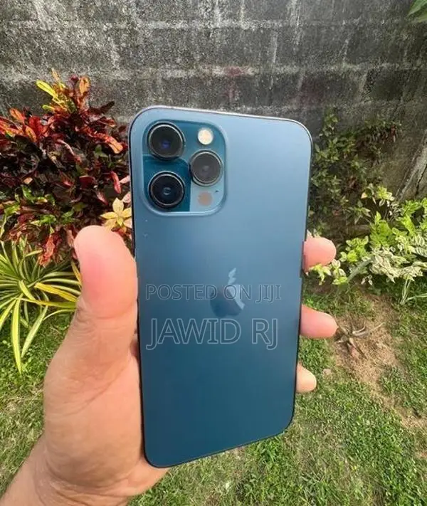 Apple iPhone 12 Pro Max (Used)