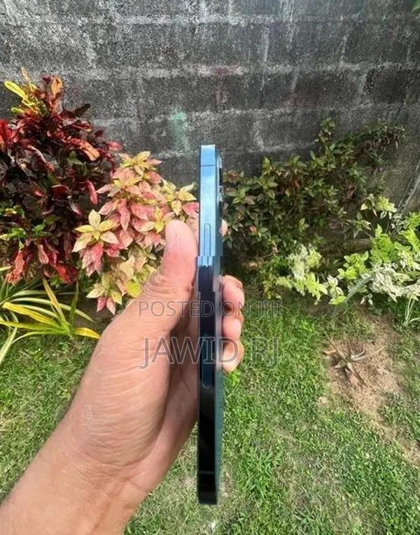Apple iPhone 12 Pro Max (Used)