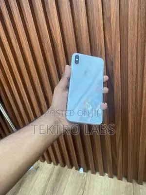 Apple iPhone XS Max (Used)