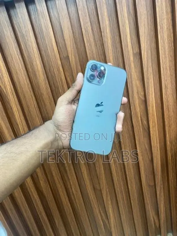 Apple iPhone 12 Pro Max (Used)