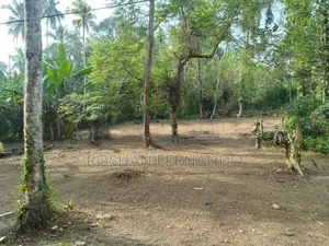 25 Perches Land for Sale in Wadduwa
