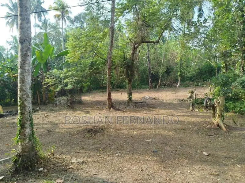25 Perches Land for Sale in Wadduwa