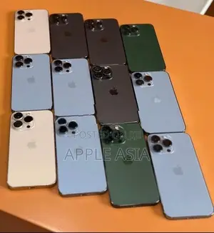 Apple iPhone 13 Pro Max (Used)