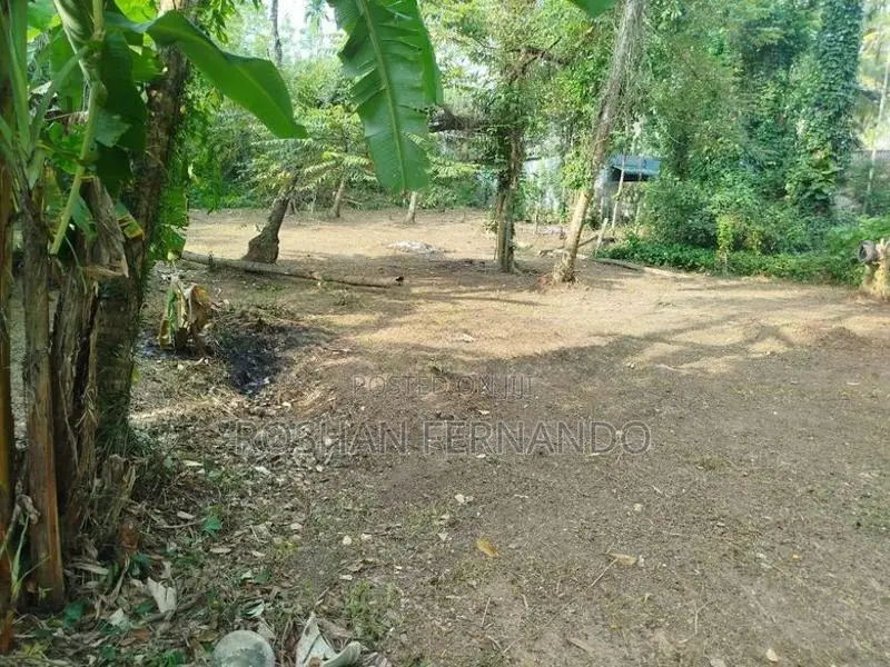 25 Perches Land for Sale in Wadduwa