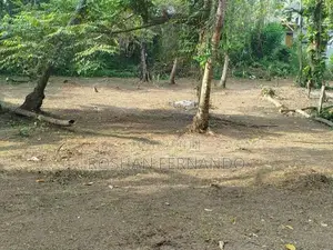25 Perches Land for Sale in Wadduwa