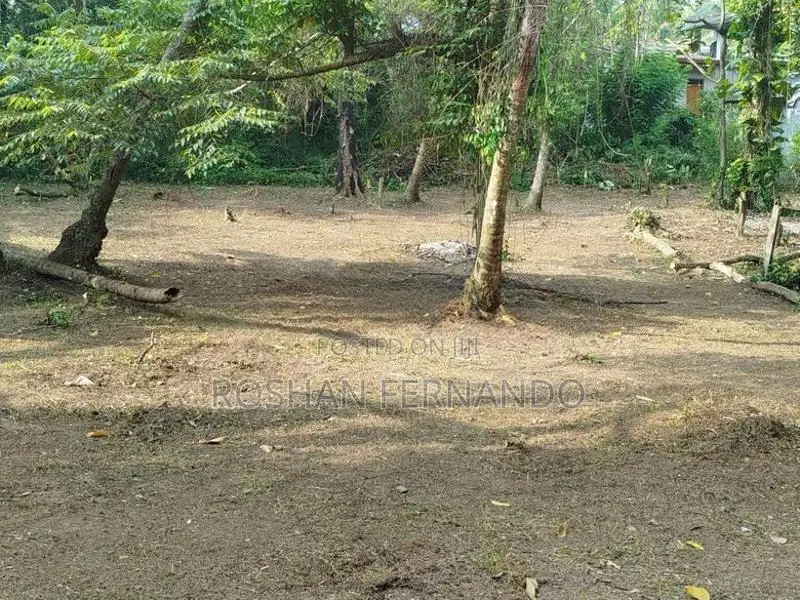 25 Perches Land for Sale in Wadduwa