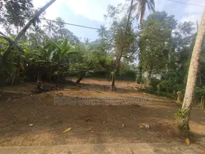 25 Perches Land for Sale in Wadduwa