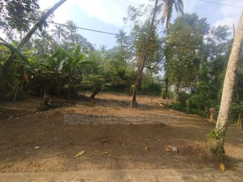 25 Perches Land for Sale in Wadduwa