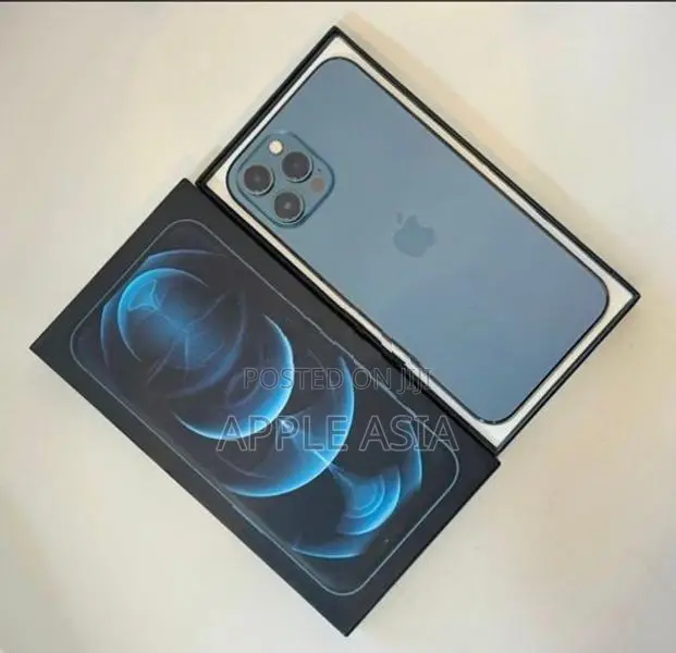 Apple iPhone 12 Pro Max (Used)
