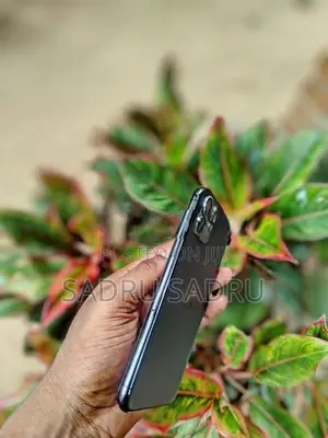 Apple iPhone 11 Pro (Used)