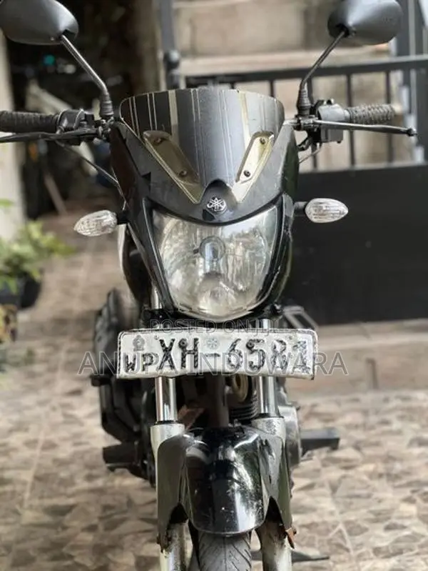 Yamaha SZR 2011