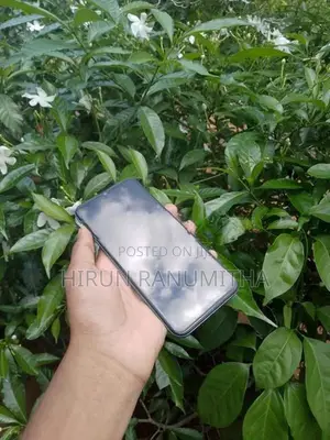 Tecno Spark 6 Go (Used)