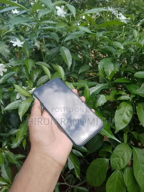 Tecno Spark 6 Go (Used)