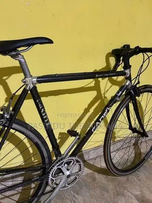 Giant Carbon Fiber Bicycle