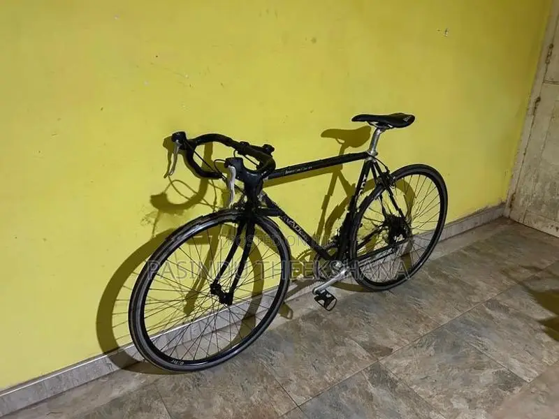 Giant Carbon Fiber Bicycle