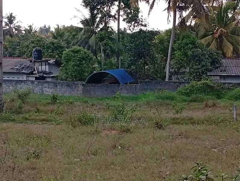Land for Sale in Thalagala
