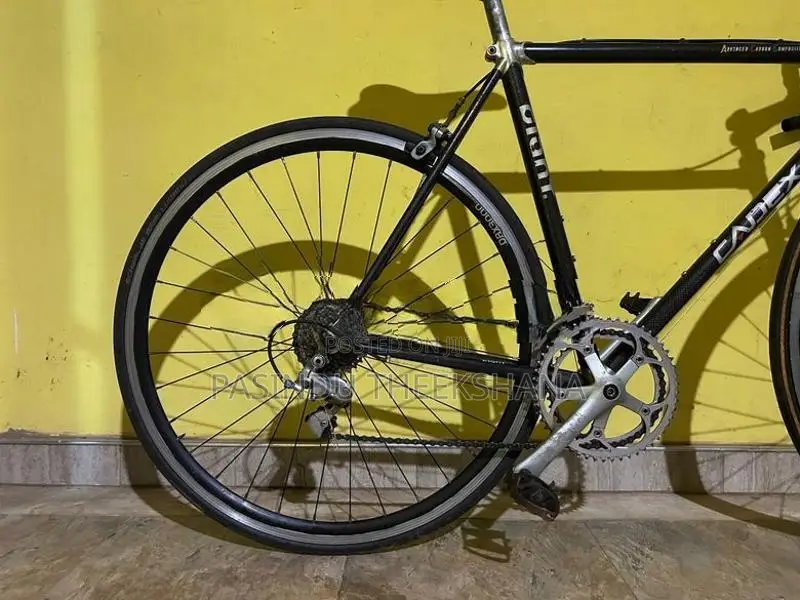 Giant Carbon Fiber Bicycle