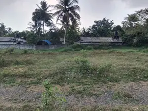 Land for Sale in Thalagala