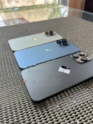 Apple iPhone 13 Pro Max (Used)