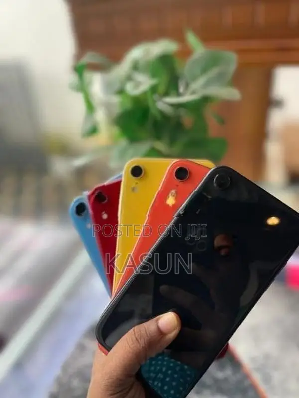 Apple iPhone XR (Used)