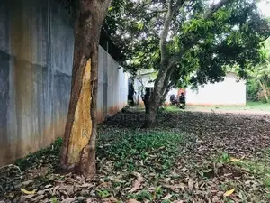 Land for Sale In Anuradhapura