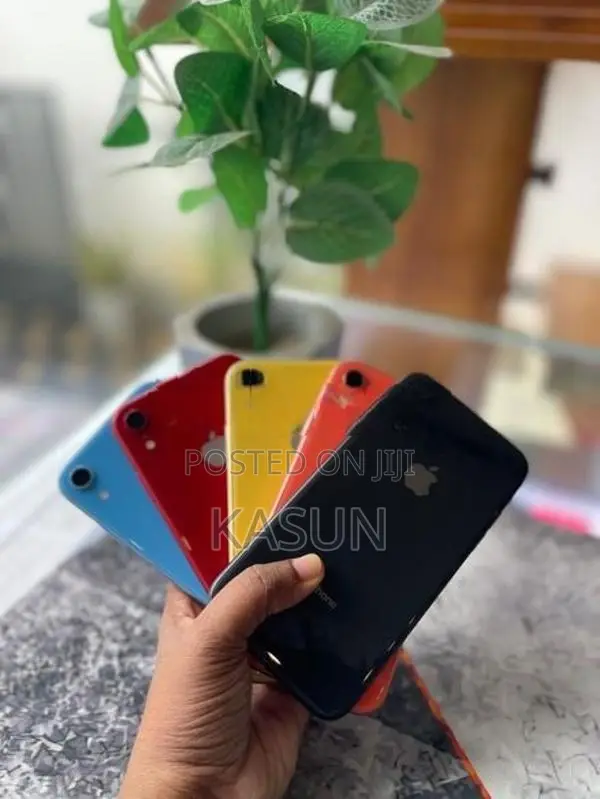 Apple iPhone XR (Used)