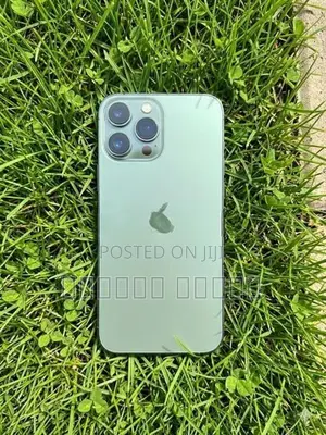 Apple iPhone 13 Pro Max (Used)