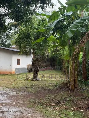 Land for Sale In Anuradhapura