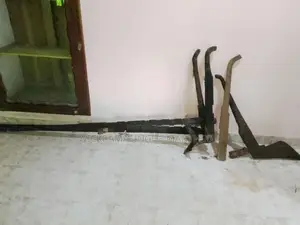 ඉපැරණි වී බිස්ස හා නගුල