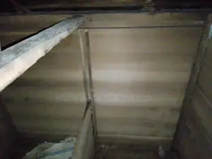 ඉපැරණි වී බිස්ස හා නගුල