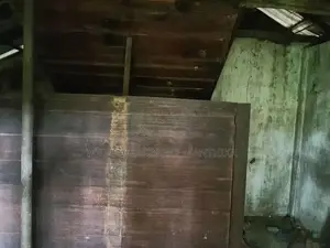 ඉපැරණි වී බිස්ස හා නගුල