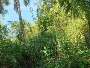Land for Sale in Kegalle
