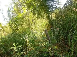 Land for Sale in Kegalle