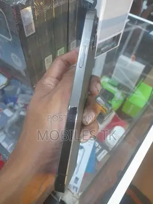 Apple iPhone 12 Pro 256GB (Used)