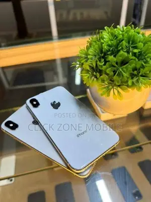 Apple iPhone X 256GB (Used)
