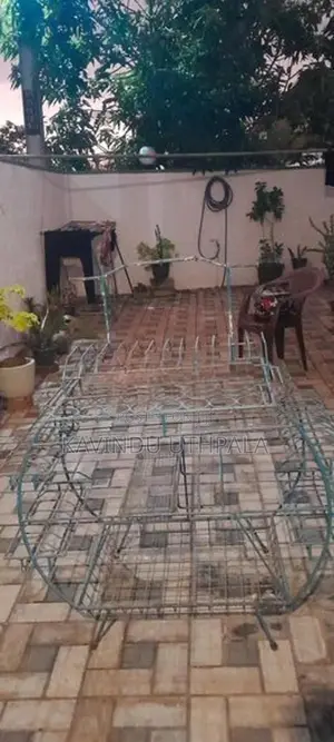Plate Rack