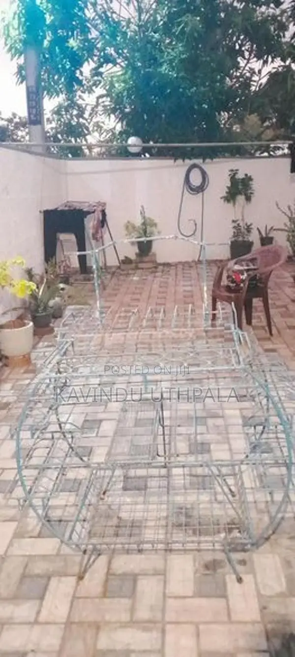 Plate Rack