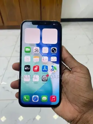 Apple iPhone 12 Pro Max (Used)