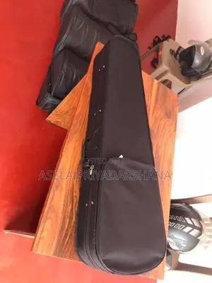 Violin Case