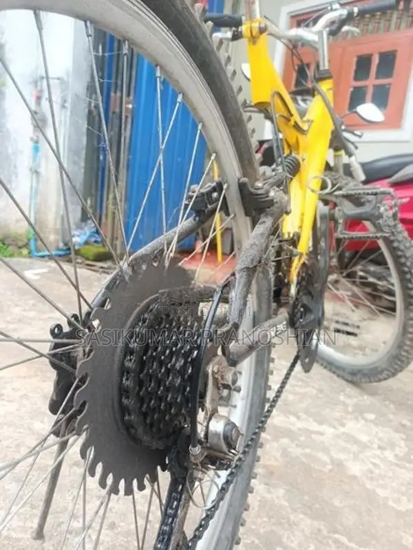 DSI Bicycle