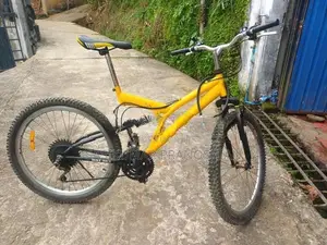 DSI Bicycle