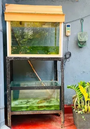 Fish Tank