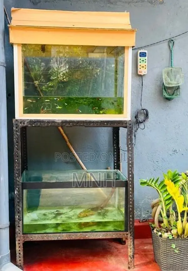 Fish Tank