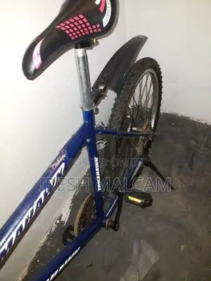 Mountain Bicycle