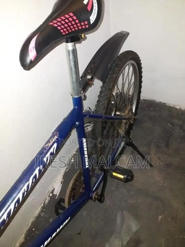 Mountain Bicycle