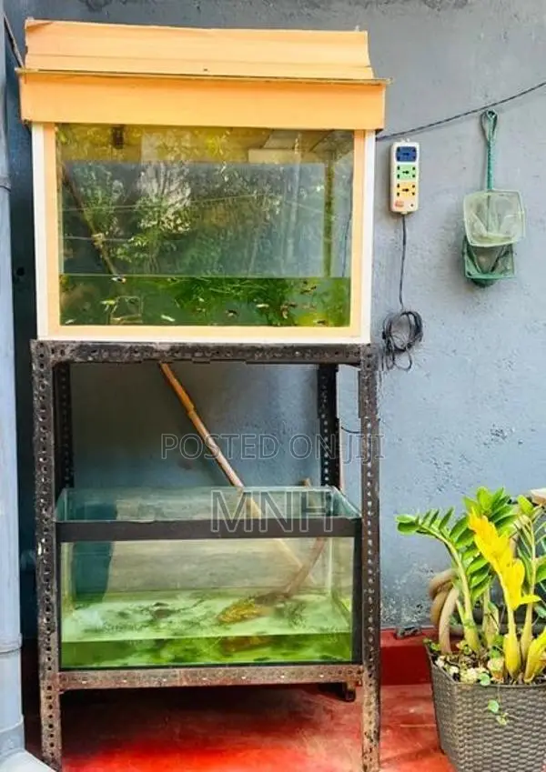 Fish Tank