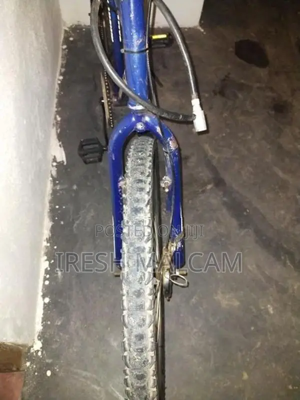 Mountain Bicycle